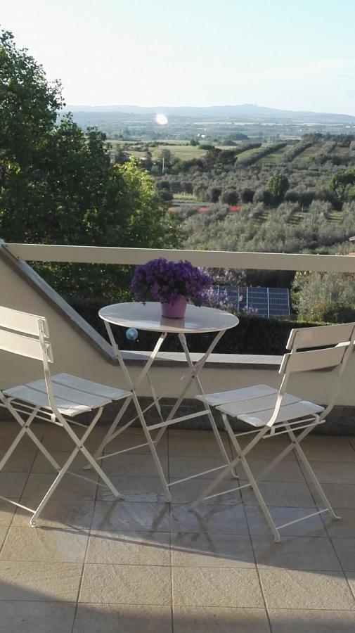 ヴィテルボ La Staccionata Bianca Bed & Breakfast エクステリア 写真